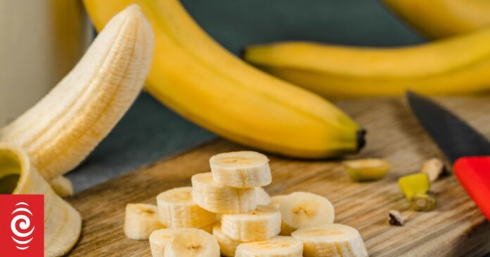 Cavendish banana plantations ‘doomed’ as virus spreads